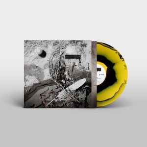 Secrets Of The Beehive (Corona Yellow/Black)